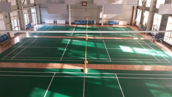 專注品質，服務運動——北京達森運動木地板有限責任公司