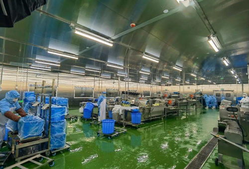 配送服務(wù)背后的質(zhì)量堅(jiān)守 七道檢測(cè)下的2.6萬(wàn)名師生體驗(yàn)