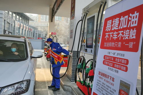 加油購(gòu)物無(wú)接觸 北京加油站跨界賣菜開(kāi)啟便民服務(wù)新模式